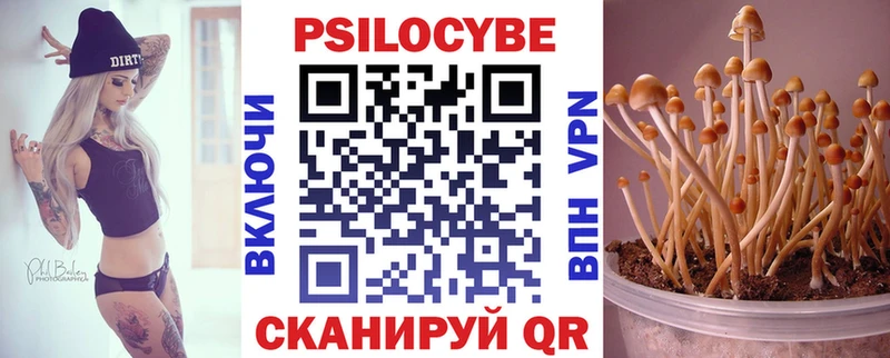 Галлюциногенные грибы GOLDEN TEACHER  Аргун 